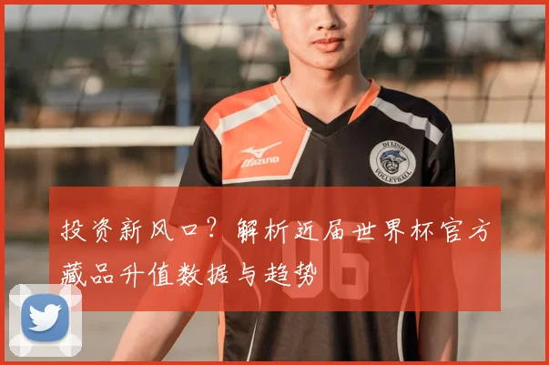 投资新风口？解析近届世界杯官方藏品升值数据与趋势