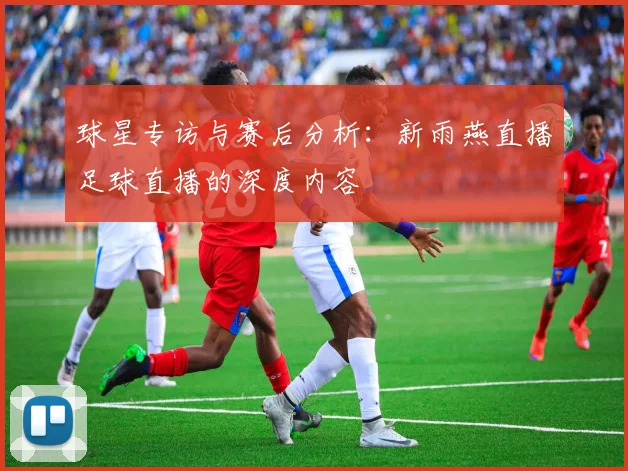 球星专访与赛后分析：新雨燕直播足球直播的深度内容