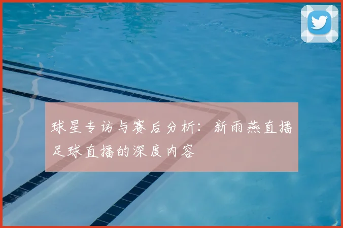 球星专访与赛后分析：新雨燕直播足球直播的深度内容