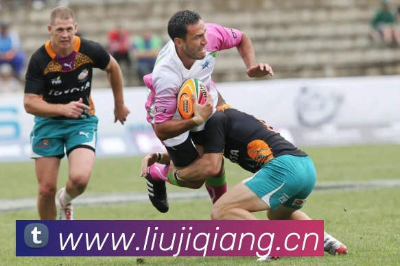 多媒体互动体验